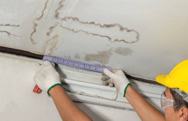 Affordable Water Damage Repair solutions in Salem, WV